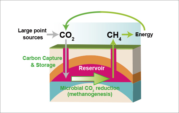 Microbial Carbon Energy Conversion Technology