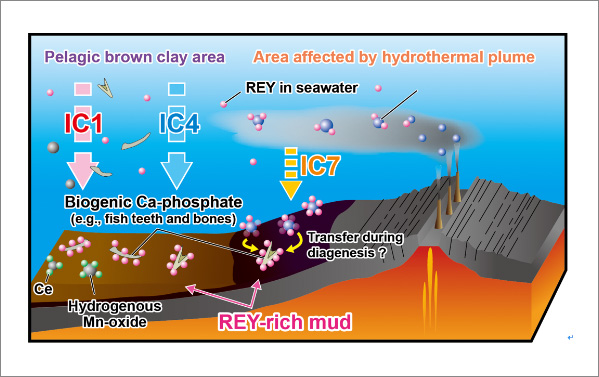 Research on genesis of seafloor mineral resources