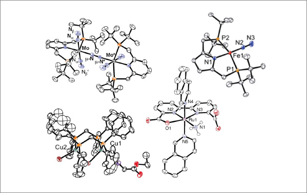 Development of Molecular Catalysts