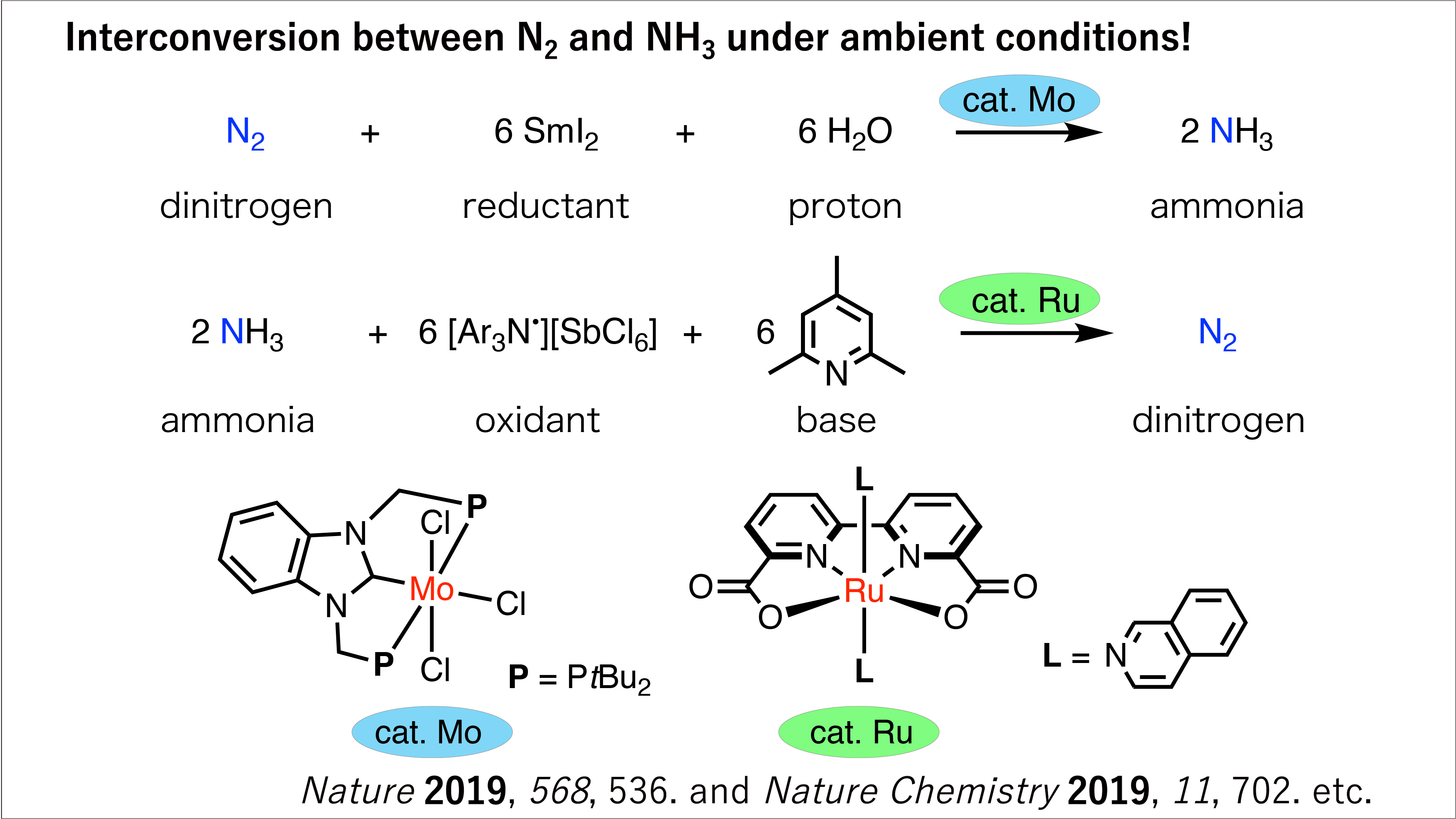 Development of Molecular Catalysts